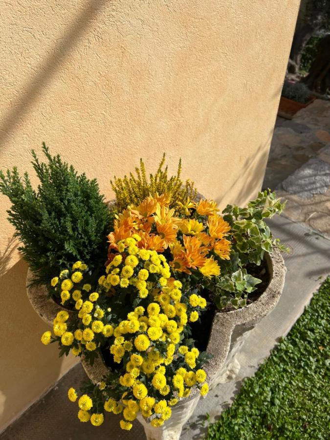 Agriturismo Le Merline Arnasco Exterior foto